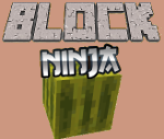 BLOCK NINJA